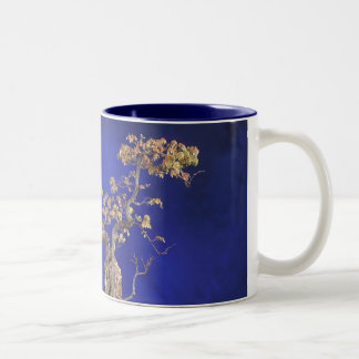 Taza Bicolor Arce de Trident de la taza/de los bonsais