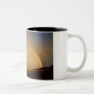 Taza Bicolor Arco iris doble