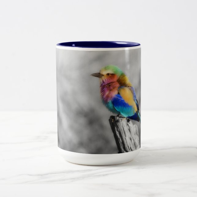 Taza Bicolor Arcoiris (Centro)