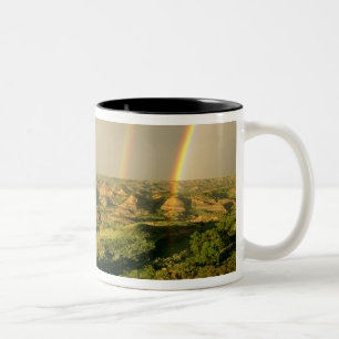 Taza Bicolor Arcoiris doble sobre cañón pintado en Theodore