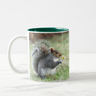Taza Bicolor Ardilla con la margarita