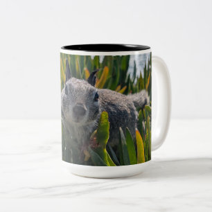 Taza Bicolor Ardilla de California