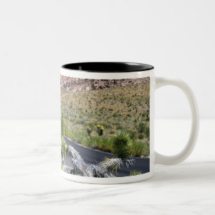 Taza Bicolor Área Nacional de Conservación del Cañón Red Ro