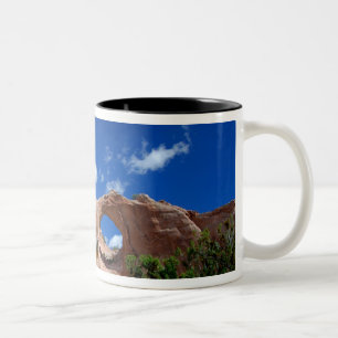 Taza Bicolor Arizona, Window Rock. Capital de los navajos
