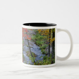 Taza Bicolor Arroyo de Coles bordeado de arces de otoño cerca