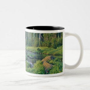 Taza Bicolor Arroyo Picnic en Jewel Basin de Swan