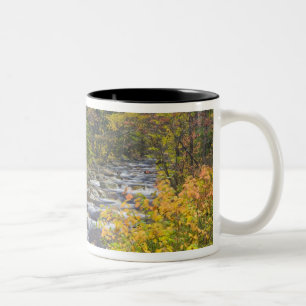 Taza Bicolor Arroyo Rugiente en otoño en Green 2 de Vermont