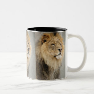 Taza Bicolor Arte del león