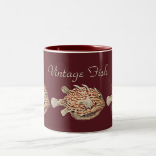 Taza Bicolor Arte Náutico Vintage de Ernst Haeckel Caja Pez Roj