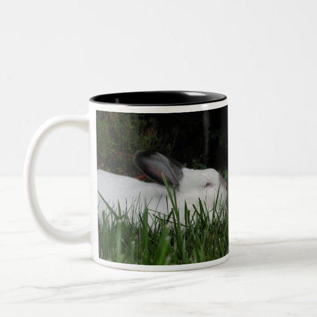 Taza Bicolor Ashton (Izquierda)