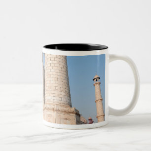 Taza Bicolor Asia, India, Uttar Pradesh, Agra. El Taj 4