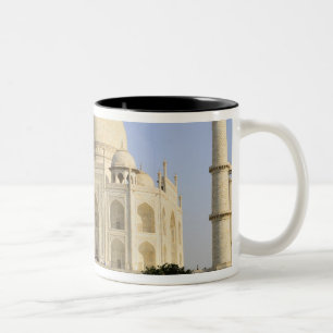 Taza Bicolor Asia, India, Uttar Pradesh, Agra. El Taj 7