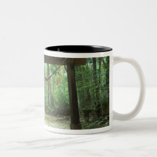 Taza Bicolor Asia, Japón, Kagoshima, Yakushima, Montaña