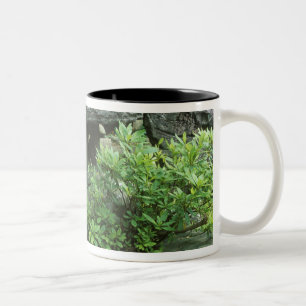 Taza Bicolor Asia, Japón, Nagasaki, Hirado, Residencia de Samur