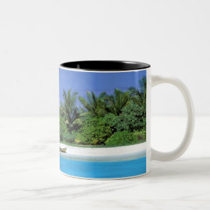 Taza Bicolor Asia, Maldivas. Atolón de machos del norte