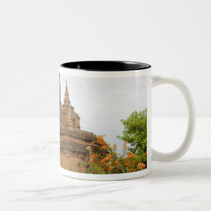 Taza Bicolor Asia, Myanmar Birmania), Bagan Pagan). Varios