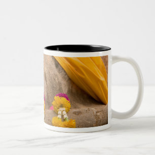 Taza Bicolor Asia, Tailandia, Siam, Buda en Ayutthaya 2