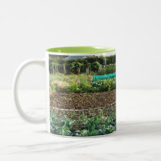 Taza Bicolor Asignación