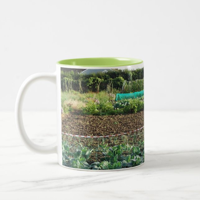 Taza Bicolor Asignación (Izquierda)