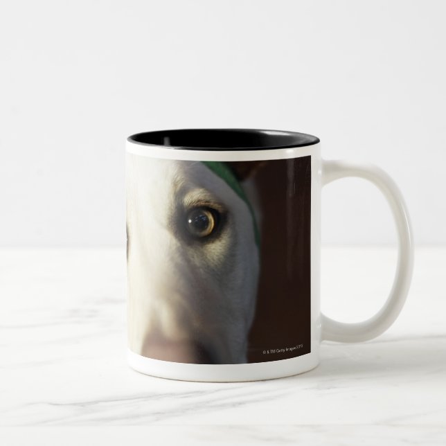 Taza Bicolor Astas del reno del perro que llevan (Derecha)