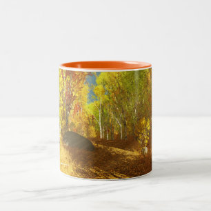 Taza Bicolor Ataque ligero en caída