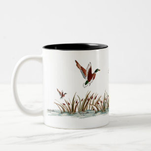 Taza Bicolor Aterrizaje de pato de Mallard cerca de los Cattail