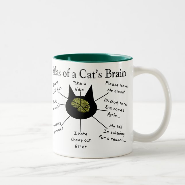 Taza Bicolor Atlas del cerebro de un gato (Derecha)