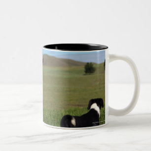 Taza Bicolor Aunque las vacas y los perros sean de diferente