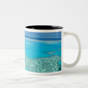 Taza Bicolor Australia, Queensland, Costa de Whitsunday, Gran 3