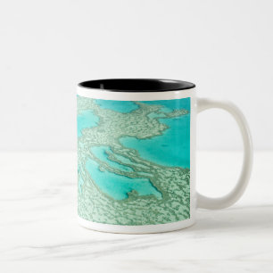 Taza Bicolor Australia, Queensland, Costa de Whitsunday, Gran 7