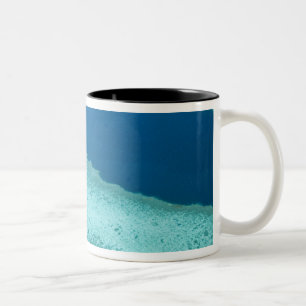 Taza Bicolor Australia, Queensland, Costa de Whitsunday, Great 