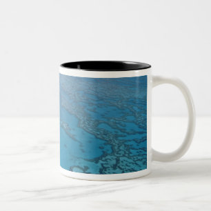 Taza Bicolor Australia, Queensland. Gran Barrera de Coral