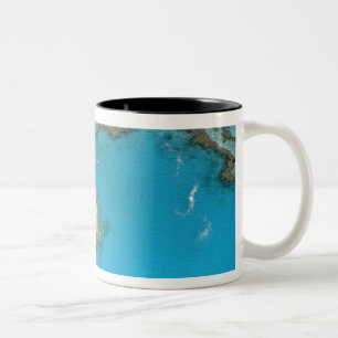 Taza Bicolor Australia, Queensland, Las Islas Whitsunday,