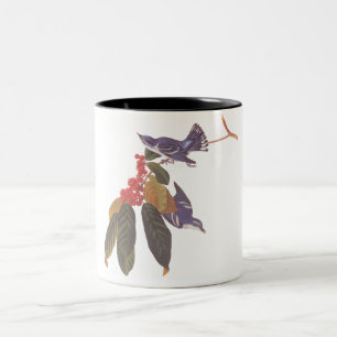 Taza Bicolor Ave Cerulean de Audubon con bayas rojas