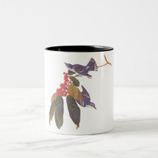 Taza Bicolor Ave Cerulean de Audubon con bayas rojas