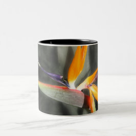 Taza Bicolor Ave del paraíso
