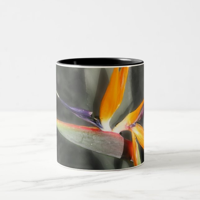 Taza Bicolor Ave del paraíso (Centro)