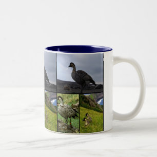 Taza Bicolor Ave Nene de Hawái