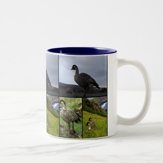 Taza Bicolor Ave Nene de Hawái (Derecha)
