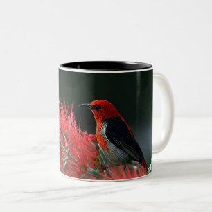 Taza Bicolor Ave rojo en la rama - Elegante alfombra natural