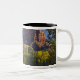 Taza Bicolor AZ, Arizona, Sedona, Área Recreativa Crescent Moon