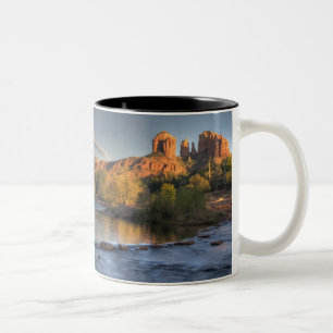 Taza Bicolor AZ, Arizona, Sedona, Área Recreativa Crescent Moon