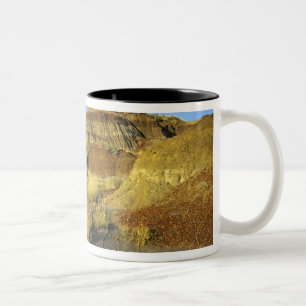 Taza Bicolor Badlands en el Parque Provincial Dinosaurio en Alb