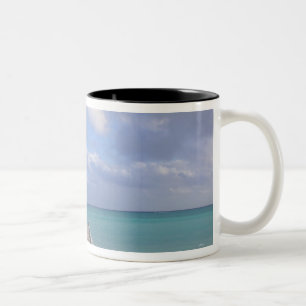 Taza Bicolor BAHAMAS, Isla de Gran Bahama, Lado Este: