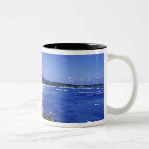Taza Bicolor Bahía larga, Puerto Antonio, Jamaica