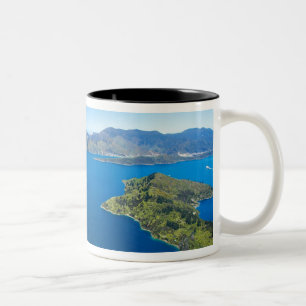 Taza Bicolor Bahía Torea, Queen Charlotte Sound, Marlborough