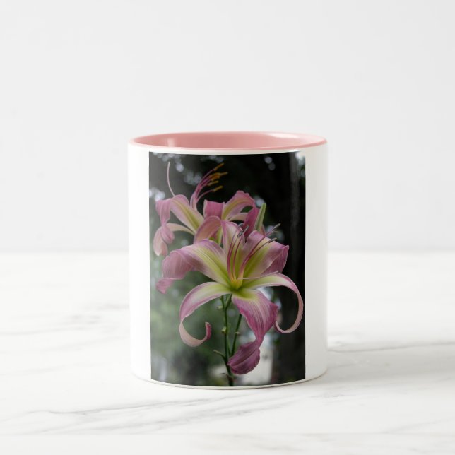 Taza Bicolor Bailarín del viento del norte (Centro)
