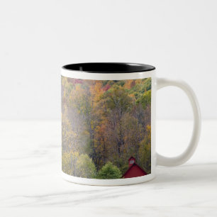Taza Bicolor Balas y follaje de otoño de heno, en una granja