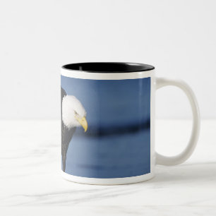 Taza Bicolor Bald Eagle