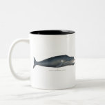 Taza Bicolor Ballena Bowhead<br><div class="desc">Hermoso Ilustracion vintage de una ballena Bowhead</div>